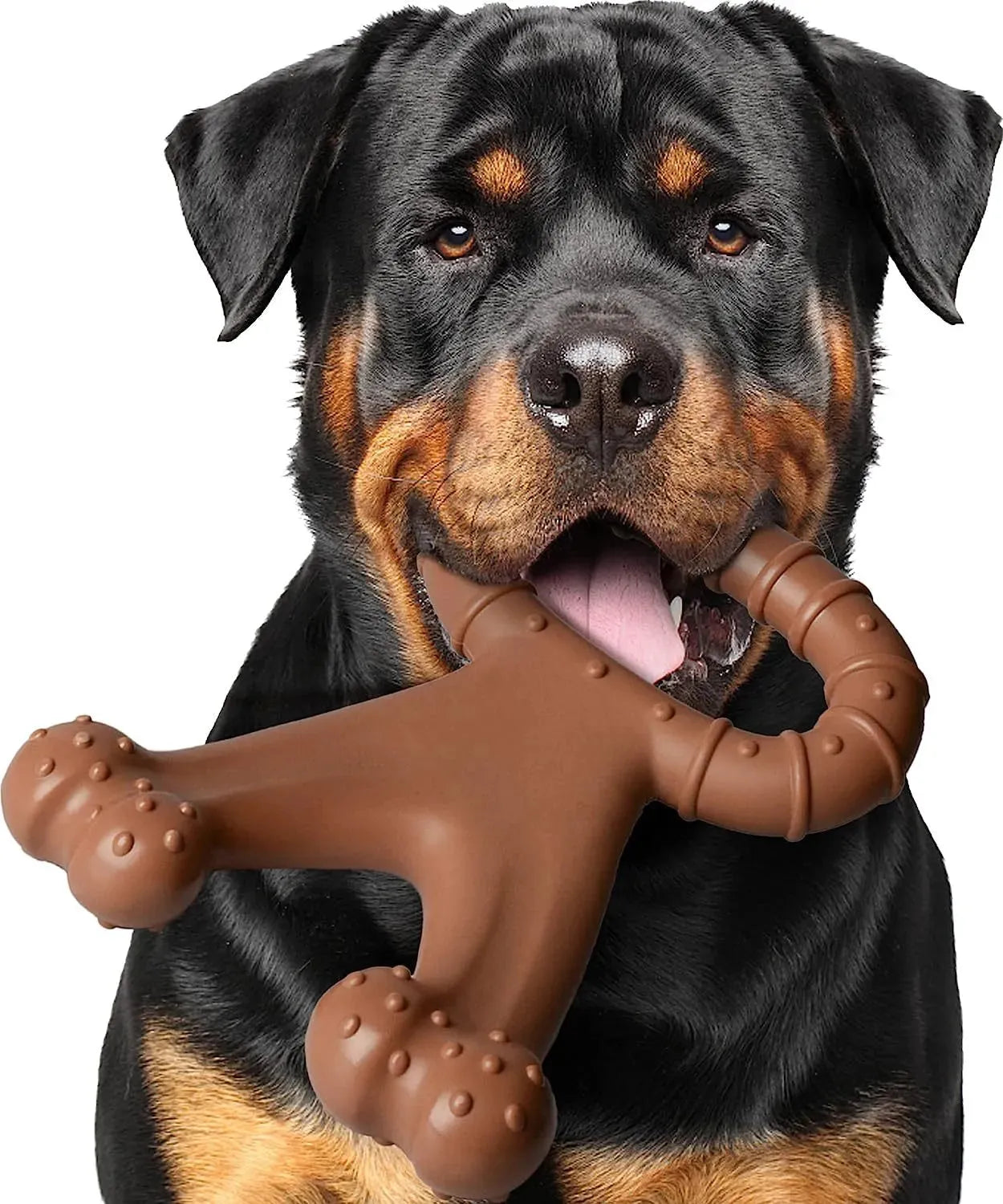 Dog Interactive Chewing Molar - Bellarte Enchanté Dog Interactive Chewing Molar